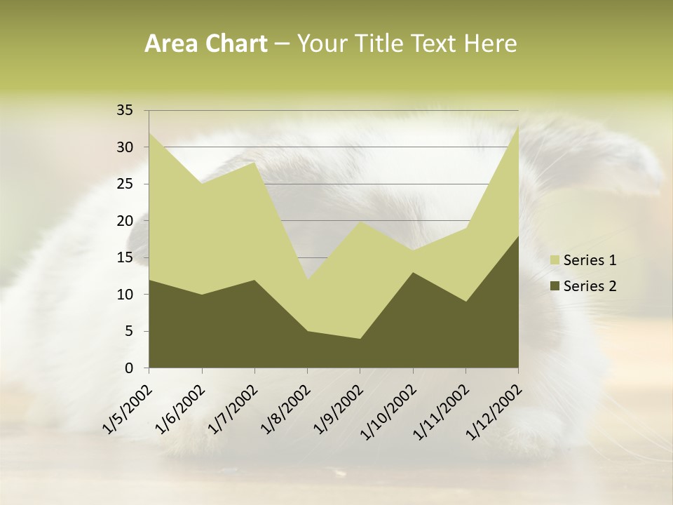 Furry Shot View PowerPoint Template