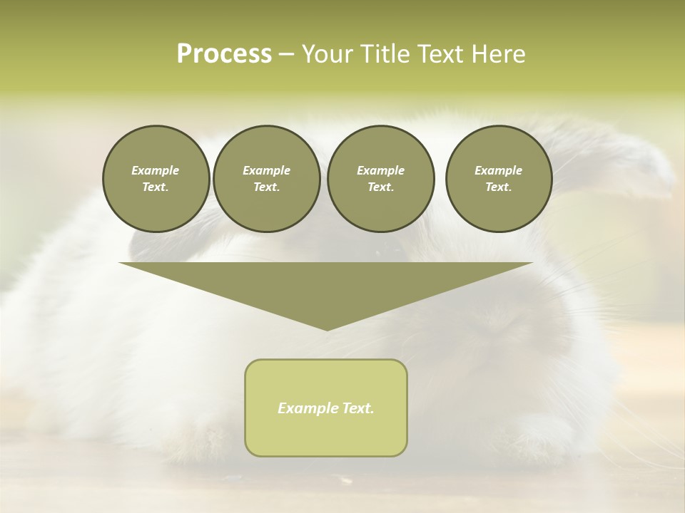 Furry Shot View PowerPoint Template