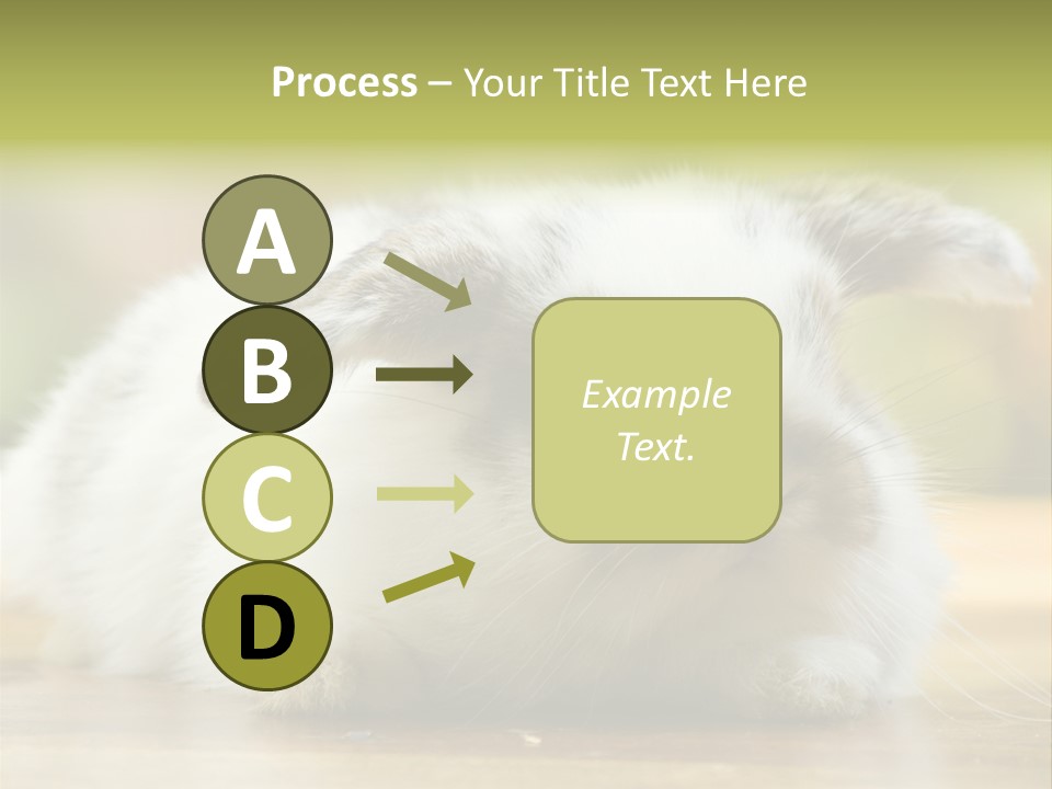 Furry Shot View PowerPoint Template