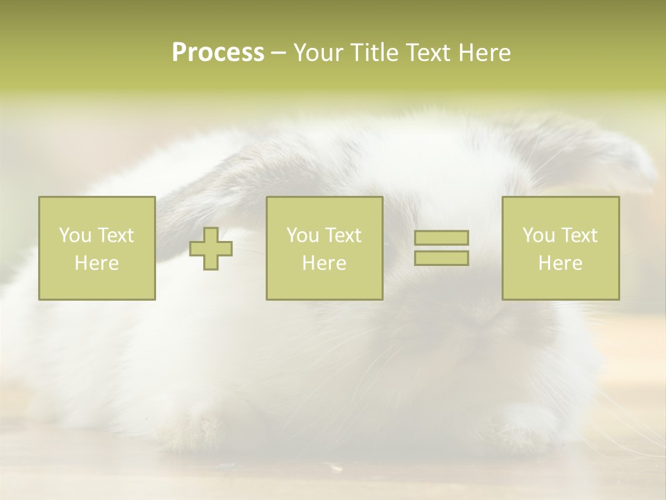 Furry Shot View PowerPoint Template