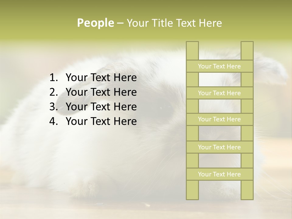 Furry Shot View PowerPoint Template