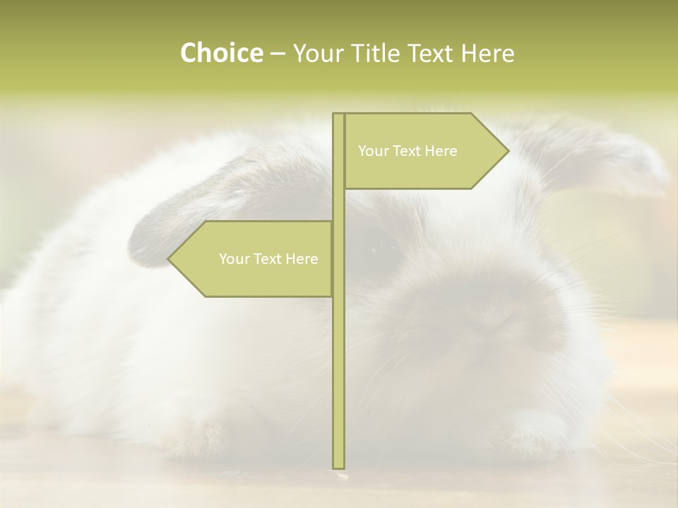Furry Shot View PowerPoint Template