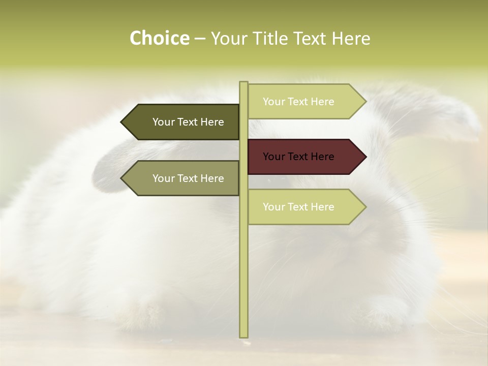 Furry Shot View PowerPoint Template