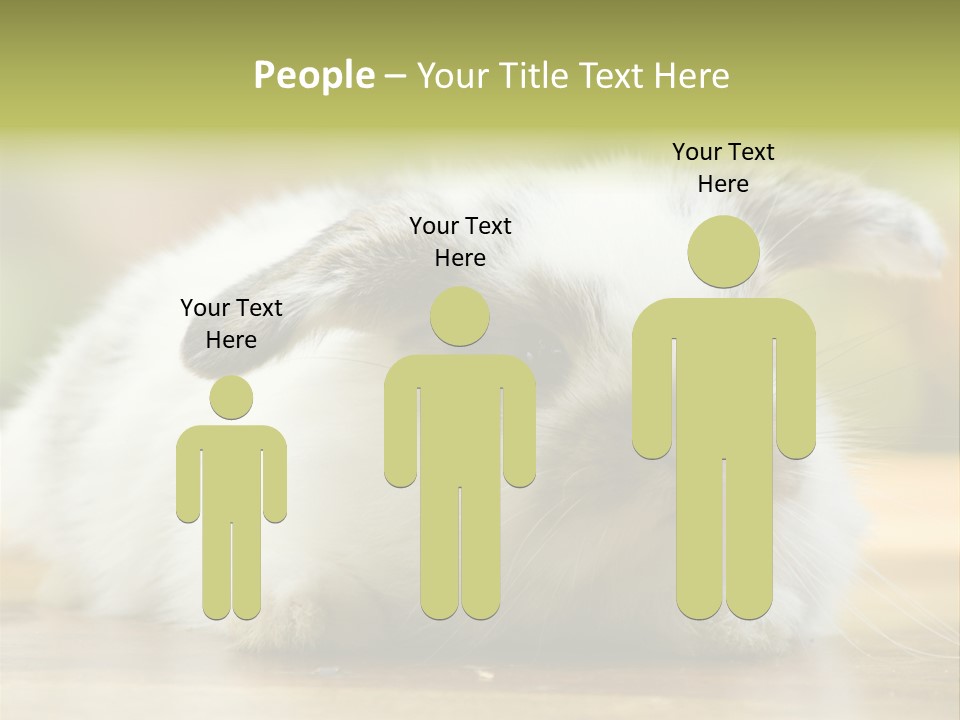 Furry Shot View PowerPoint Template