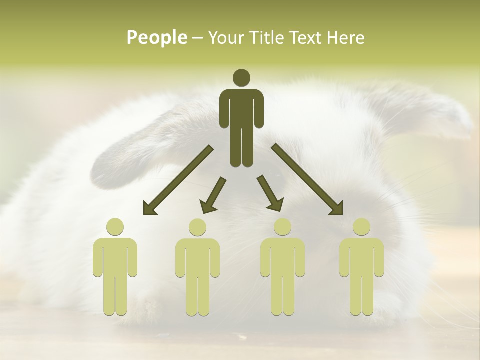 Furry Shot View PowerPoint Template
