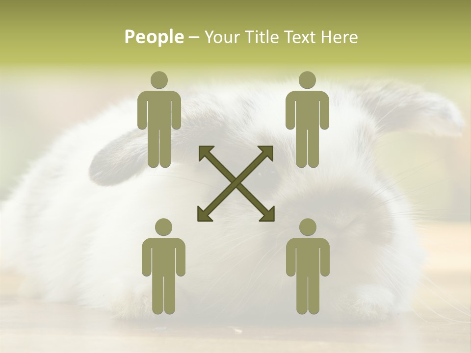 Furry Shot View PowerPoint Template