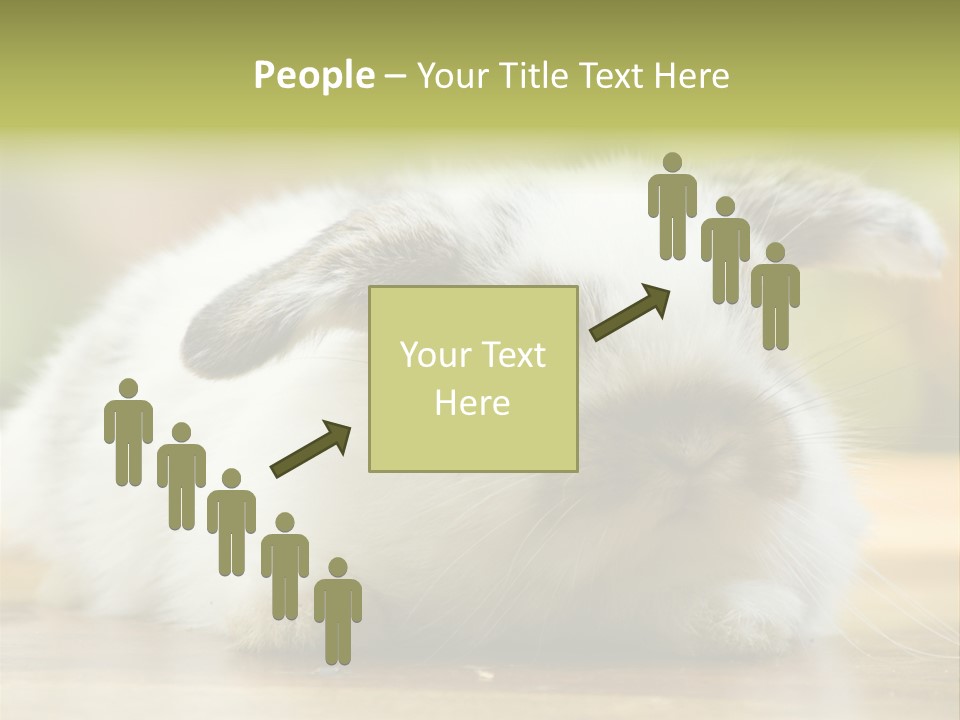 Furry Shot View PowerPoint Template