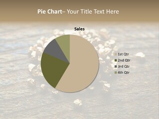 Area Treasure Discovery PowerPoint Template