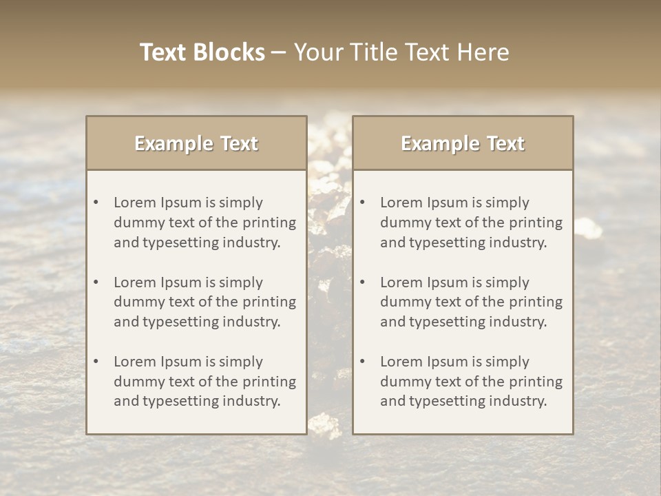 Area Treasure Discovery PowerPoint Template