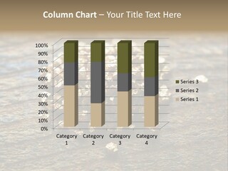 Area Treasure Discovery PowerPoint Template