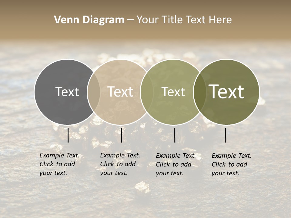 Area Treasure Discovery PowerPoint Template