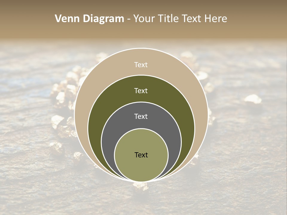 Area Treasure Discovery PowerPoint Template