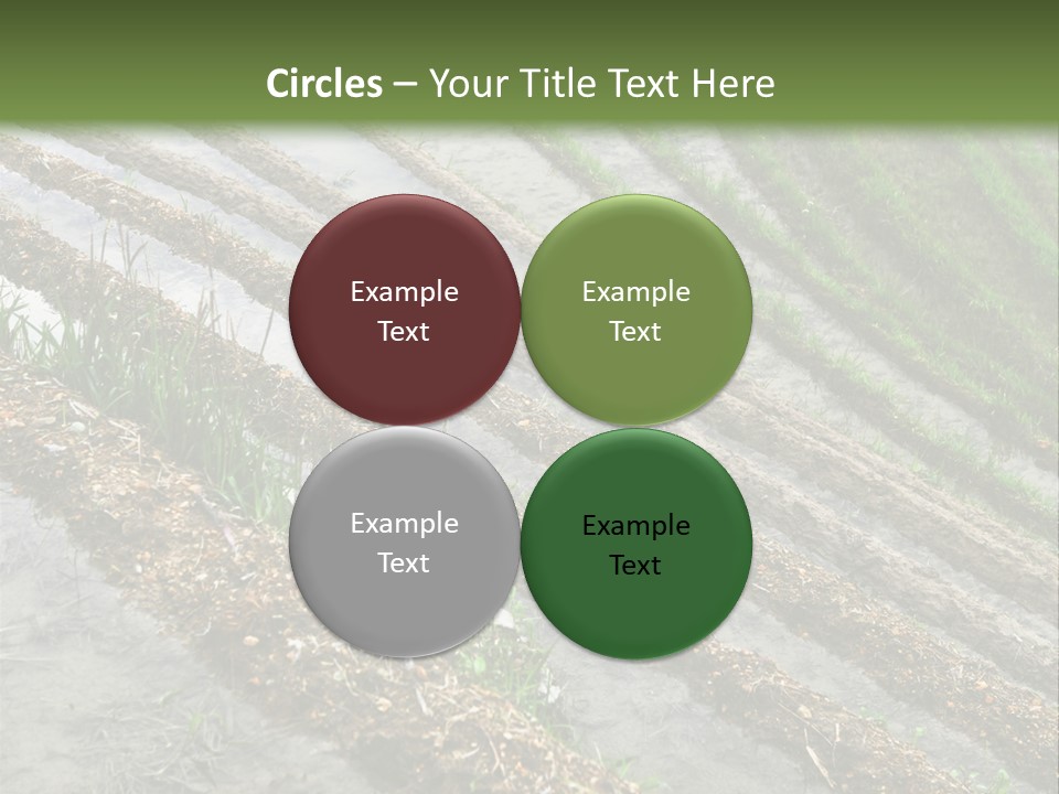 Province Water China PowerPoint Template