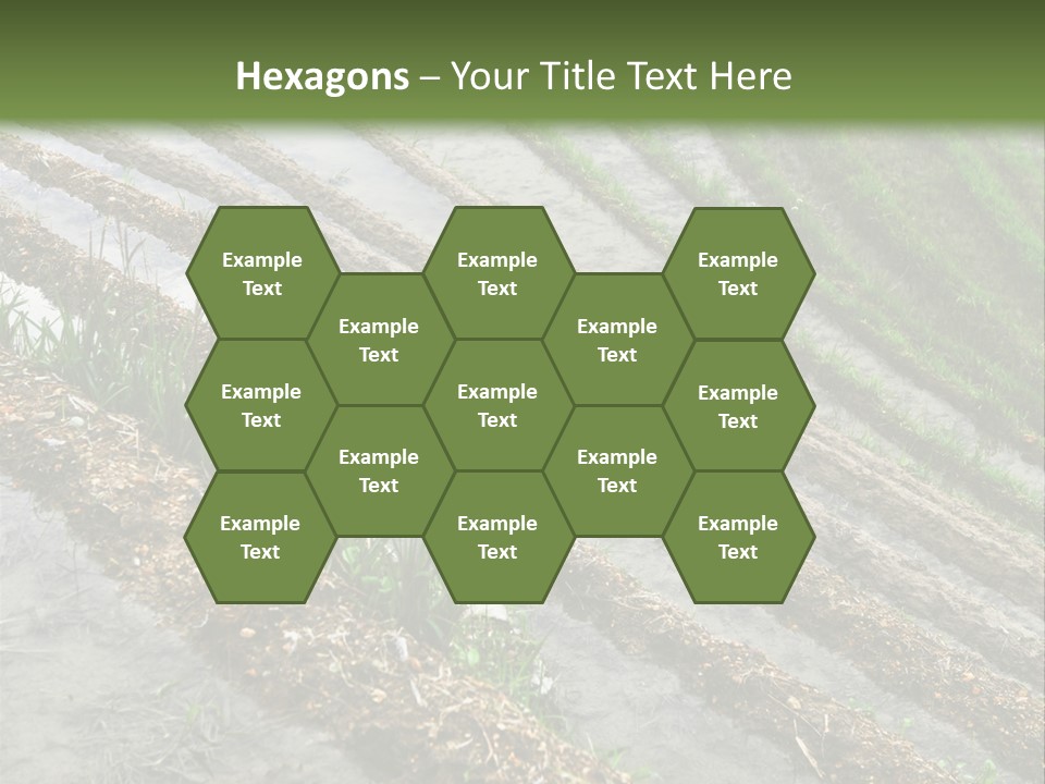 Province Water China PowerPoint Template