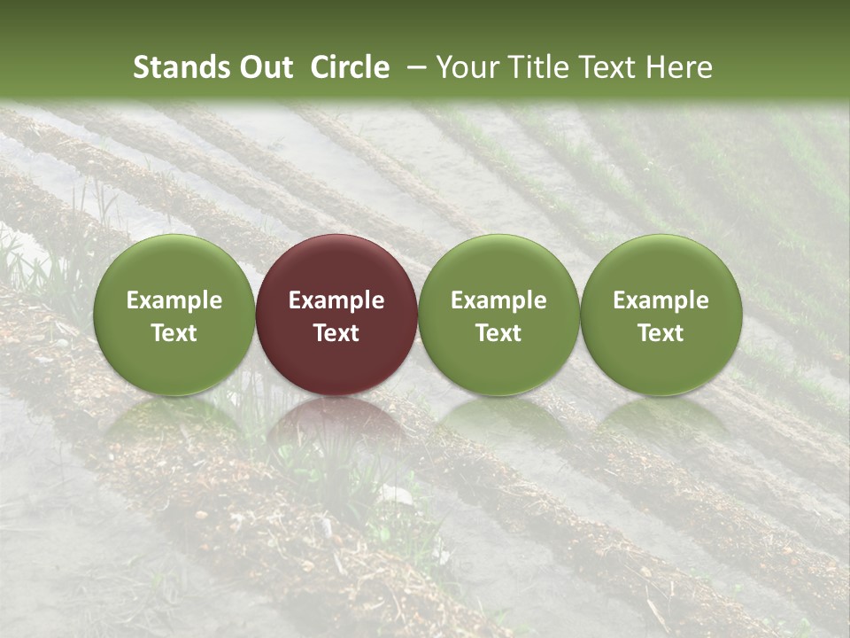 Province Water China PowerPoint Template