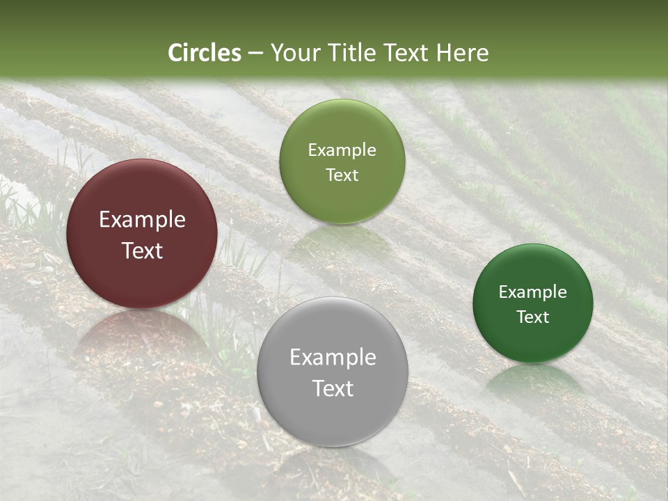 Province Water China PowerPoint Template