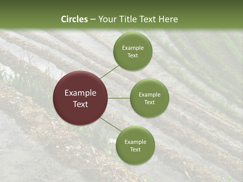 Province Water China PowerPoint Template