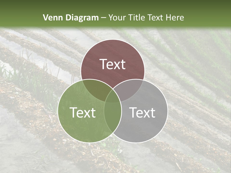 Province Water China PowerPoint Template