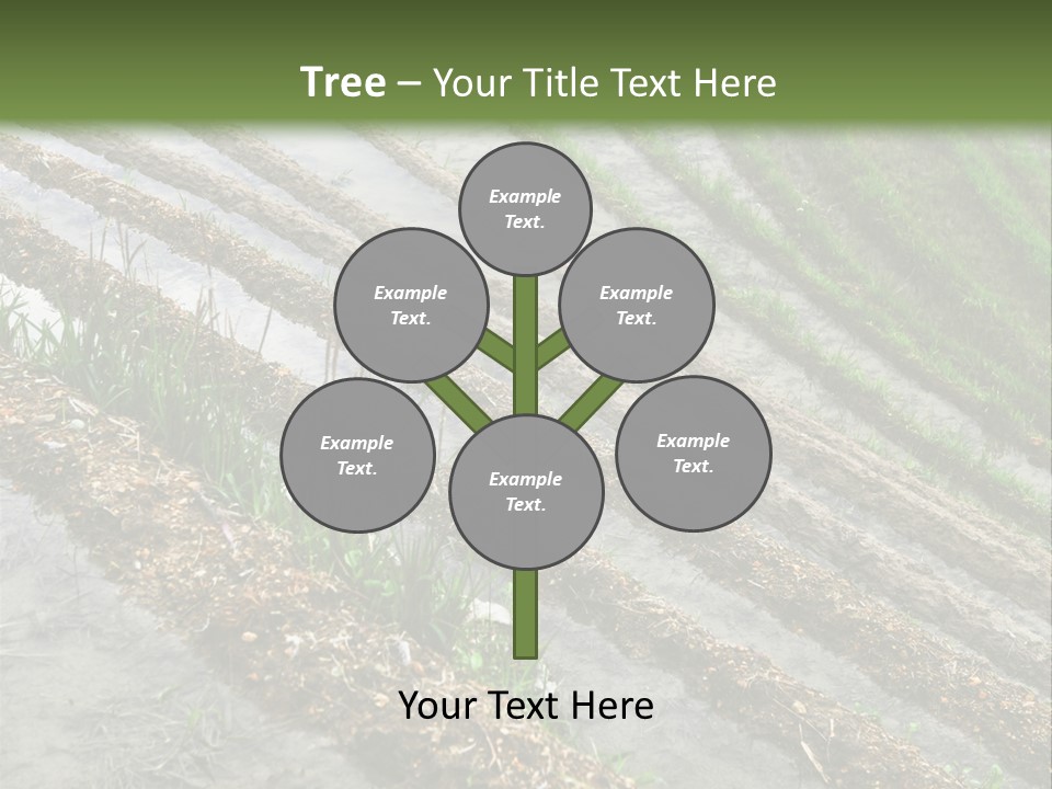 Province Water China PowerPoint Template