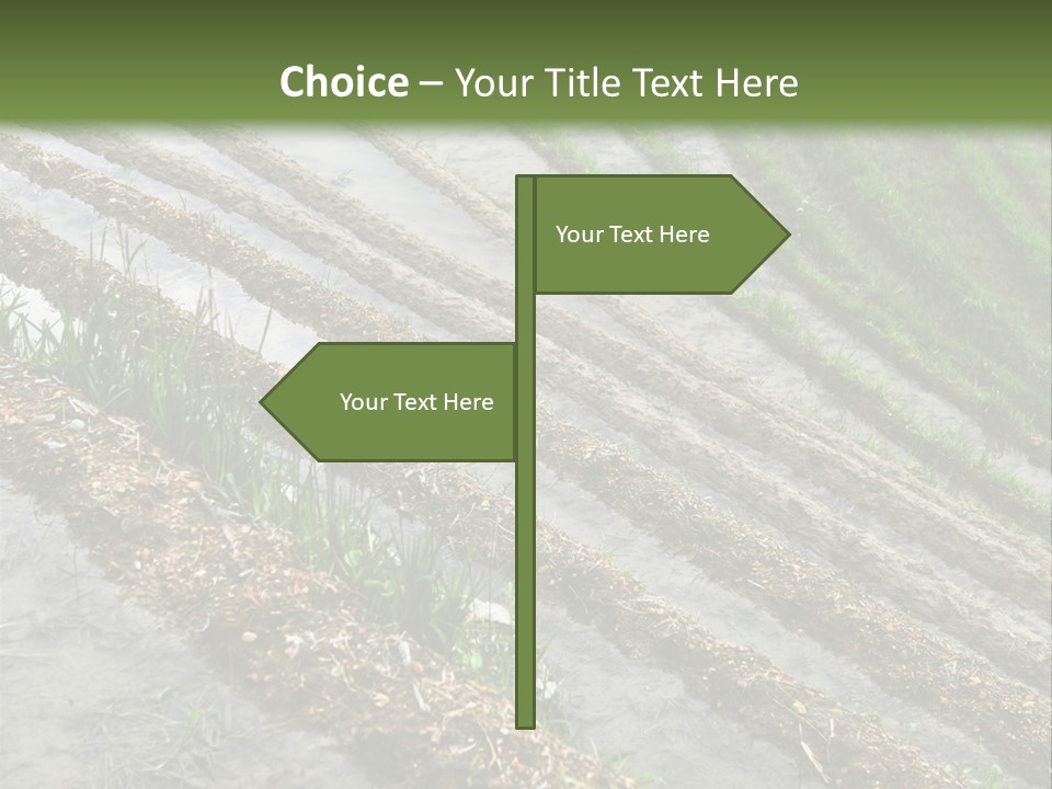 Province Water China PowerPoint Template