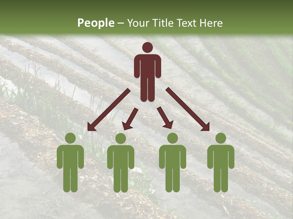 Province Water China PowerPoint Template