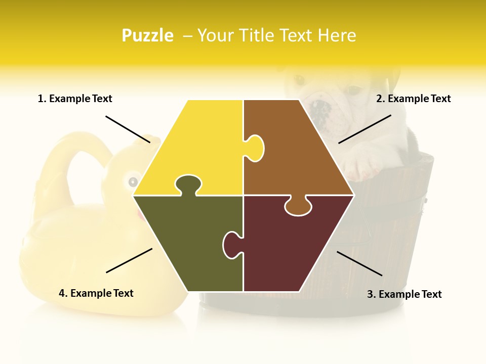 Small Washtub Pedigree PowerPoint Template