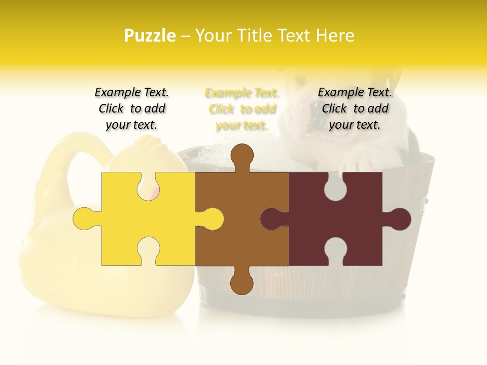 Small Washtub Pedigree PowerPoint Template