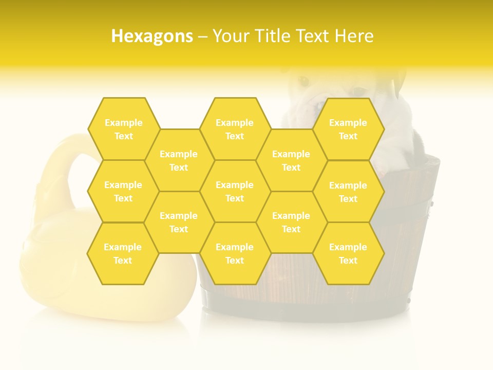 Small Washtub Pedigree PowerPoint Template