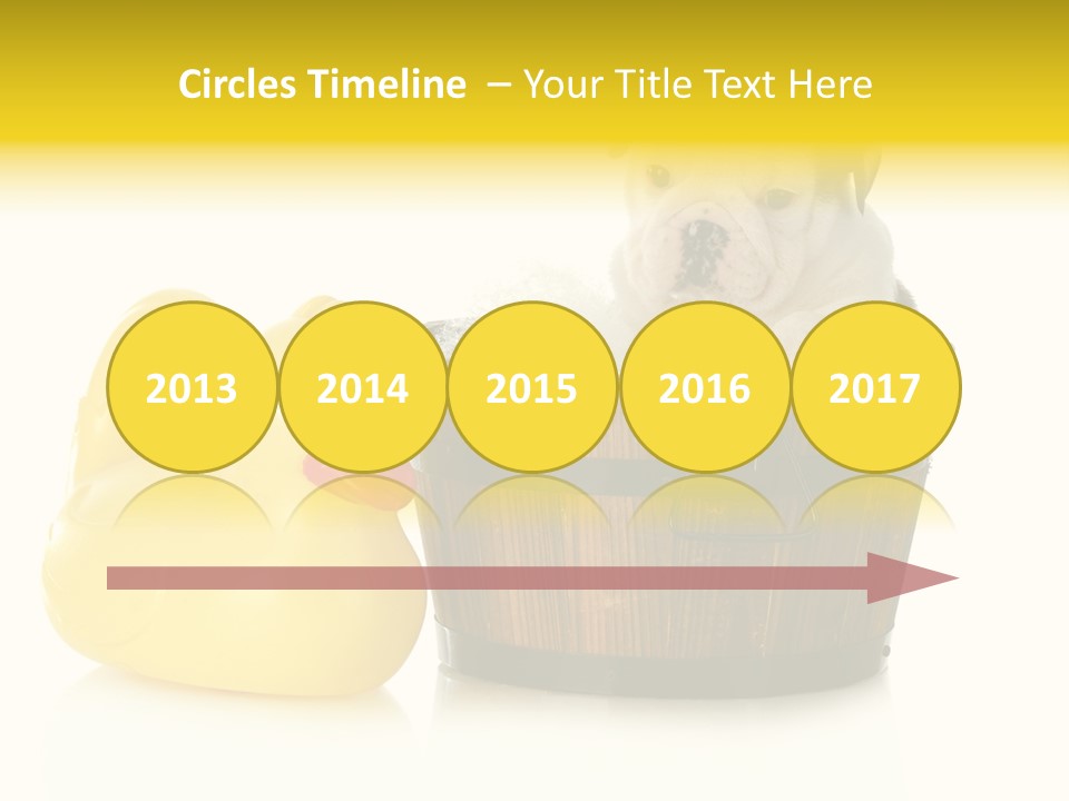 Small Washtub Pedigree PowerPoint Template