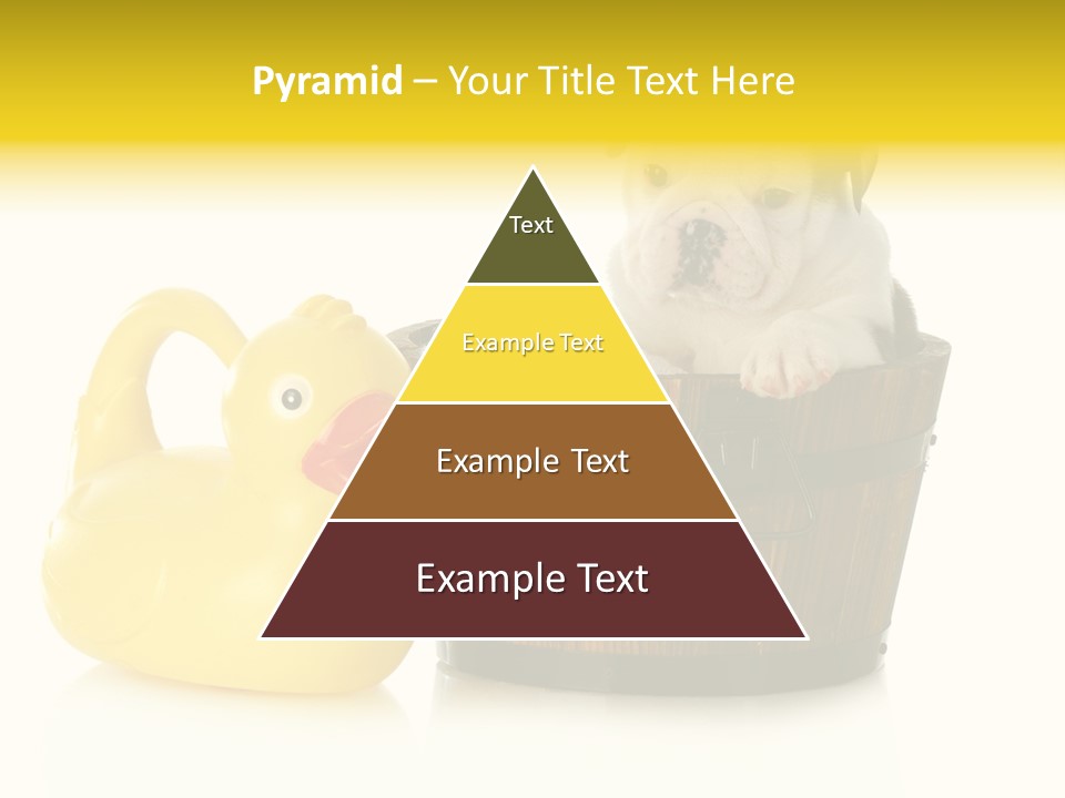 Small Washtub Pedigree PowerPoint Template