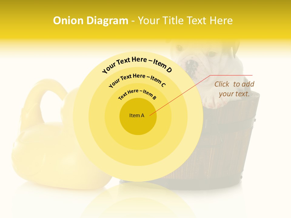 Small Washtub Pedigree PowerPoint Template