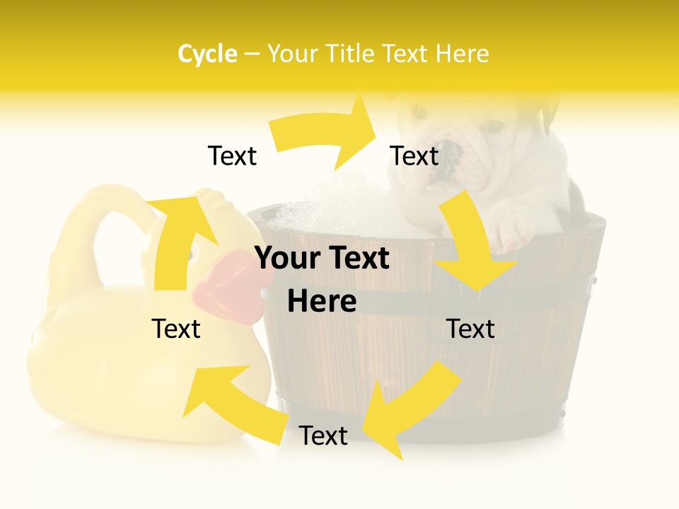 Small Washtub Pedigree PowerPoint Template