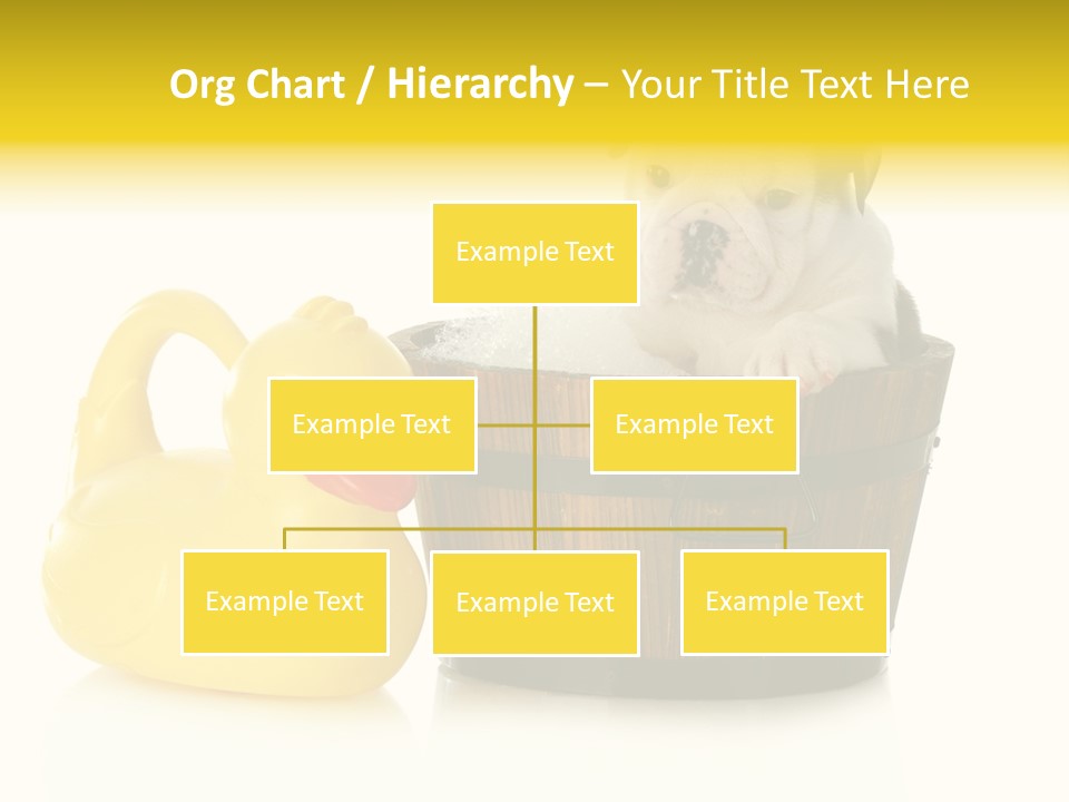 Small Washtub Pedigree PowerPoint Template
