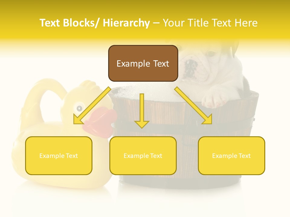 Small Washtub Pedigree PowerPoint Template