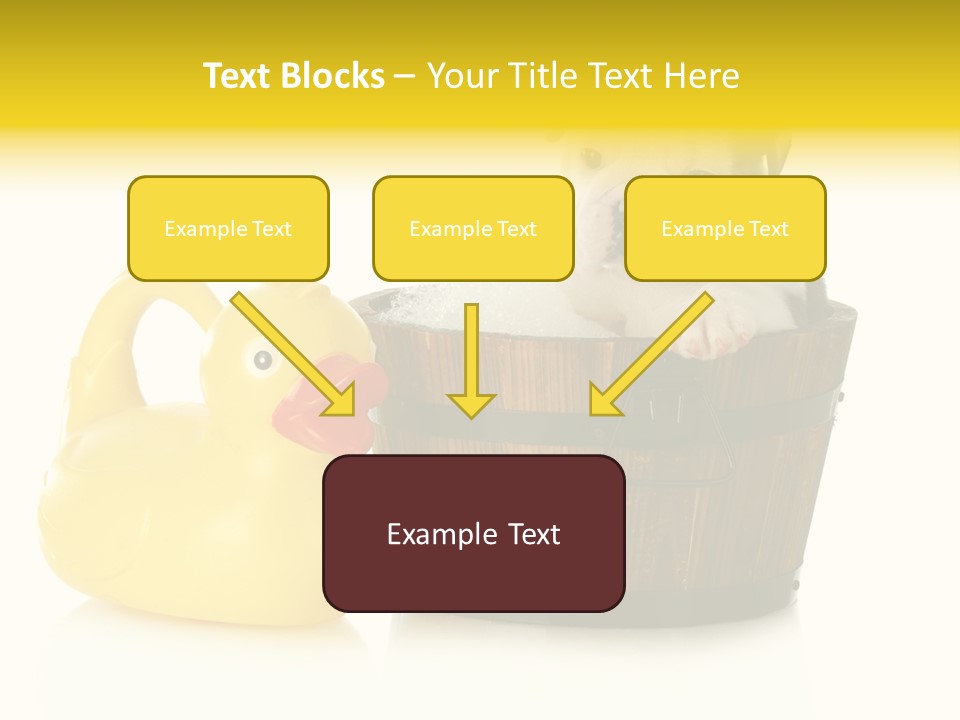 Small Washtub Pedigree PowerPoint Template