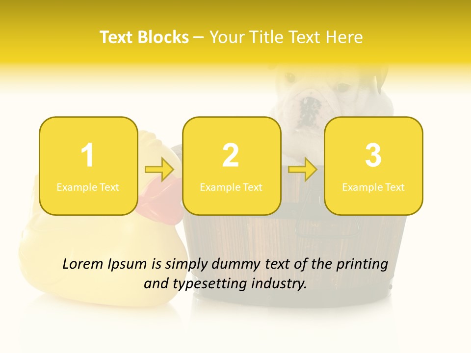 Small Washtub Pedigree PowerPoint Template