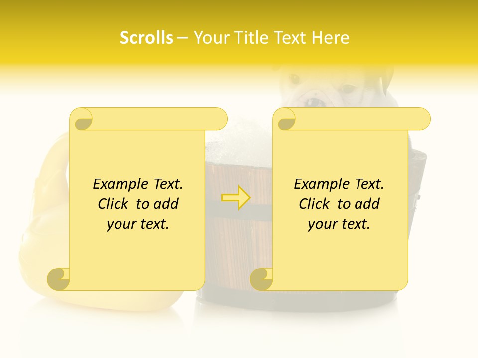 Small Washtub Pedigree PowerPoint Template