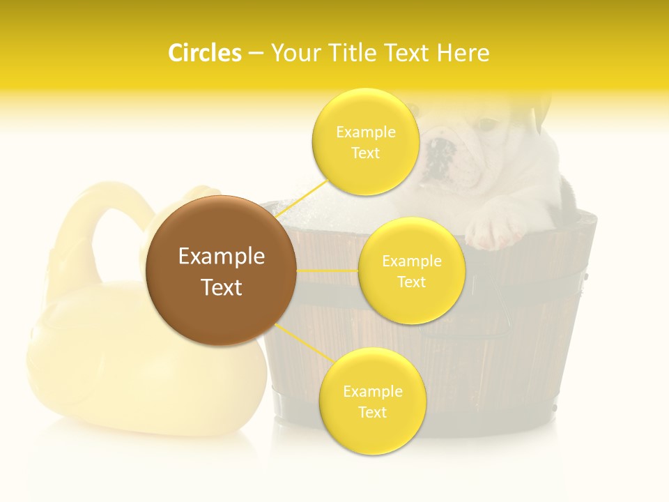 Small Washtub Pedigree PowerPoint Template