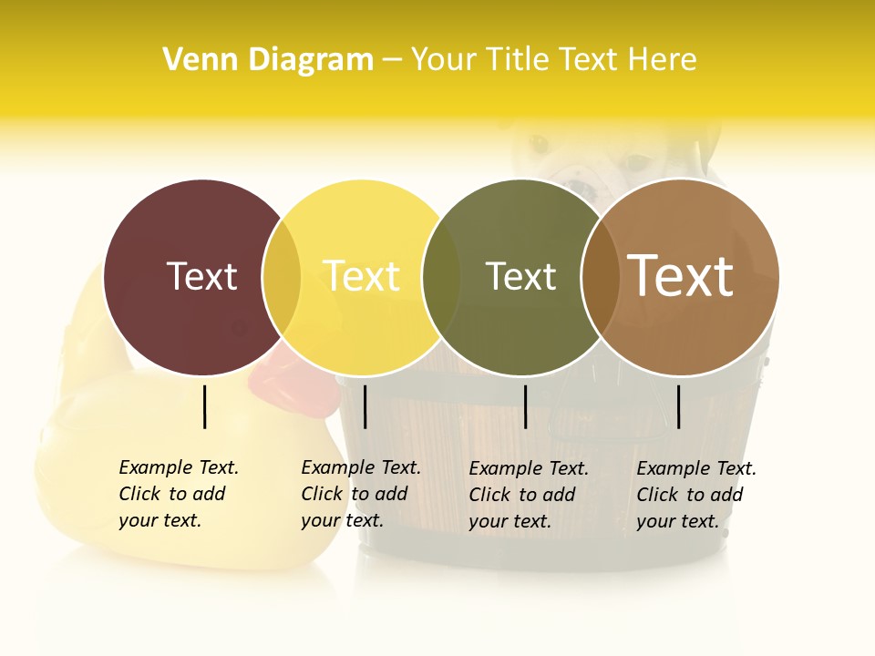 Small Washtub Pedigree PowerPoint Template