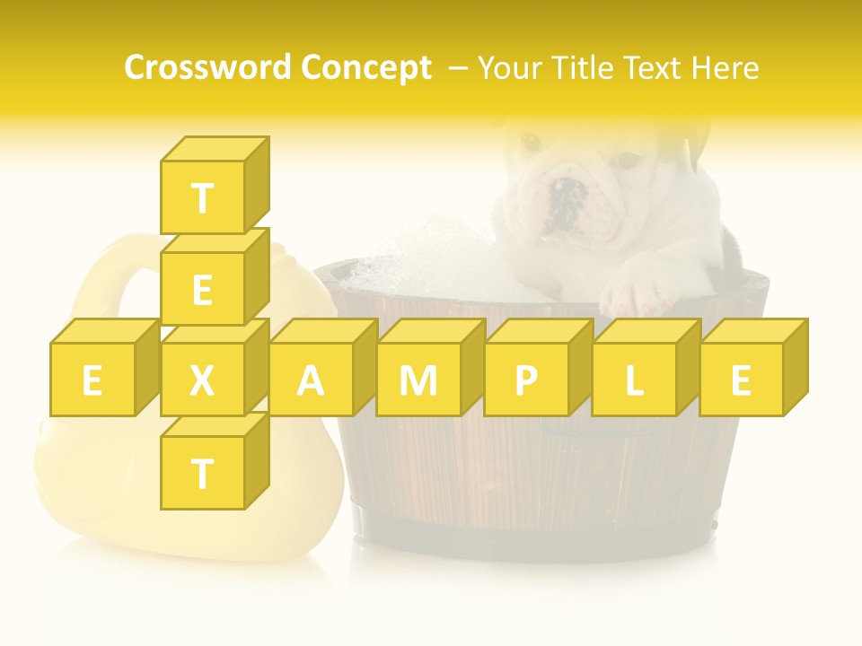 Small Washtub Pedigree PowerPoint Template