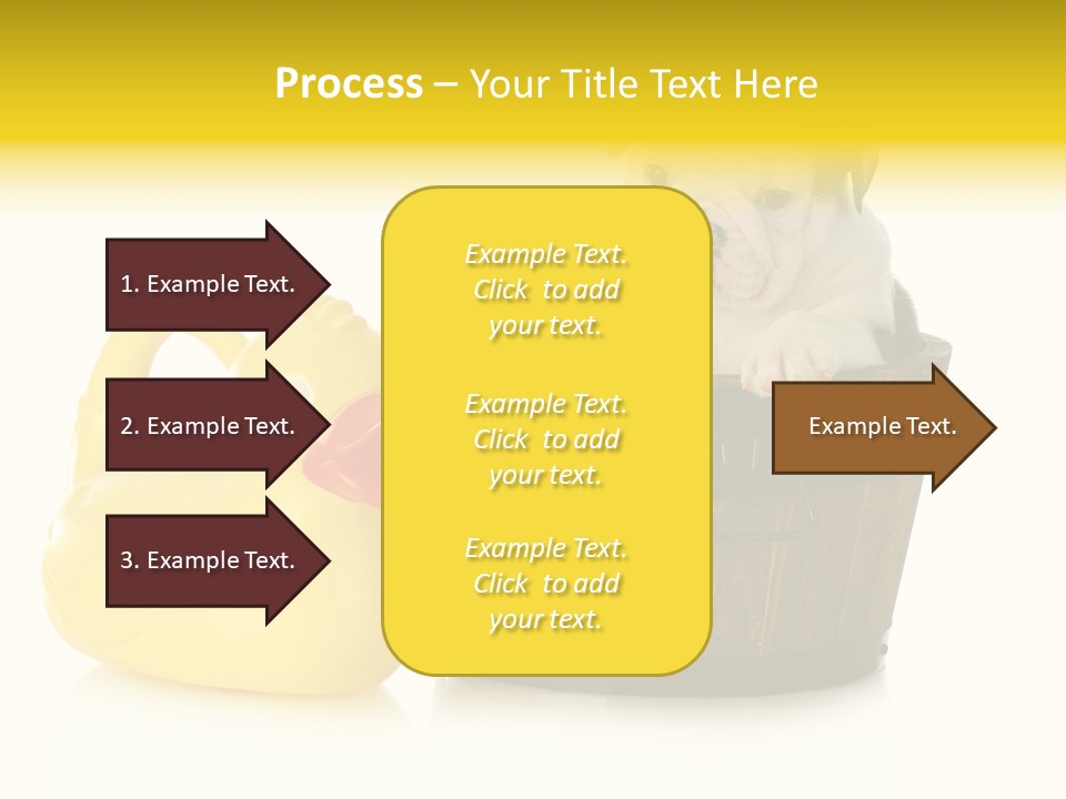 Small Washtub Pedigree PowerPoint Template