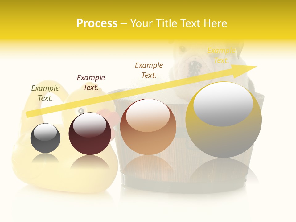 Small Washtub Pedigree PowerPoint Template