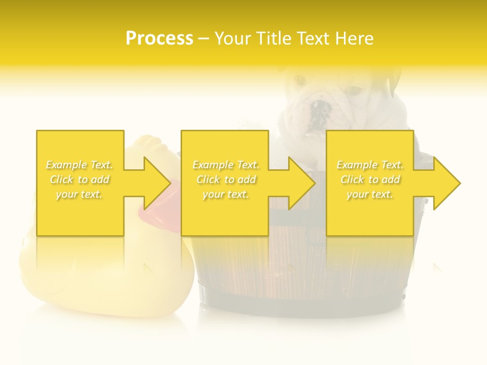 Small Washtub Pedigree PowerPoint Template