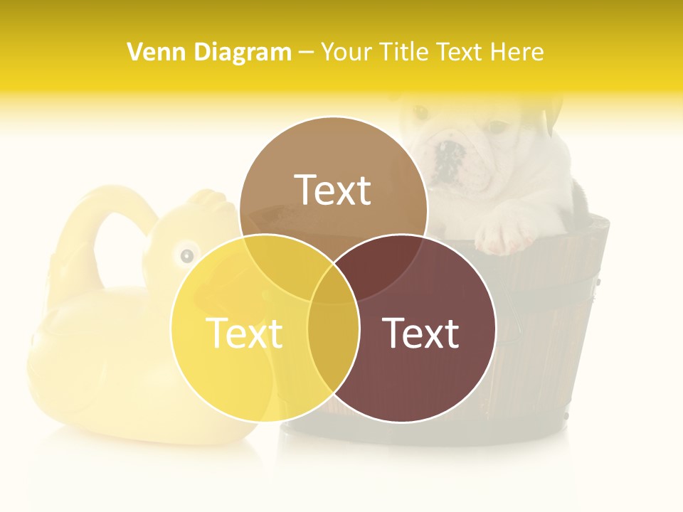 Small Washtub Pedigree PowerPoint Template