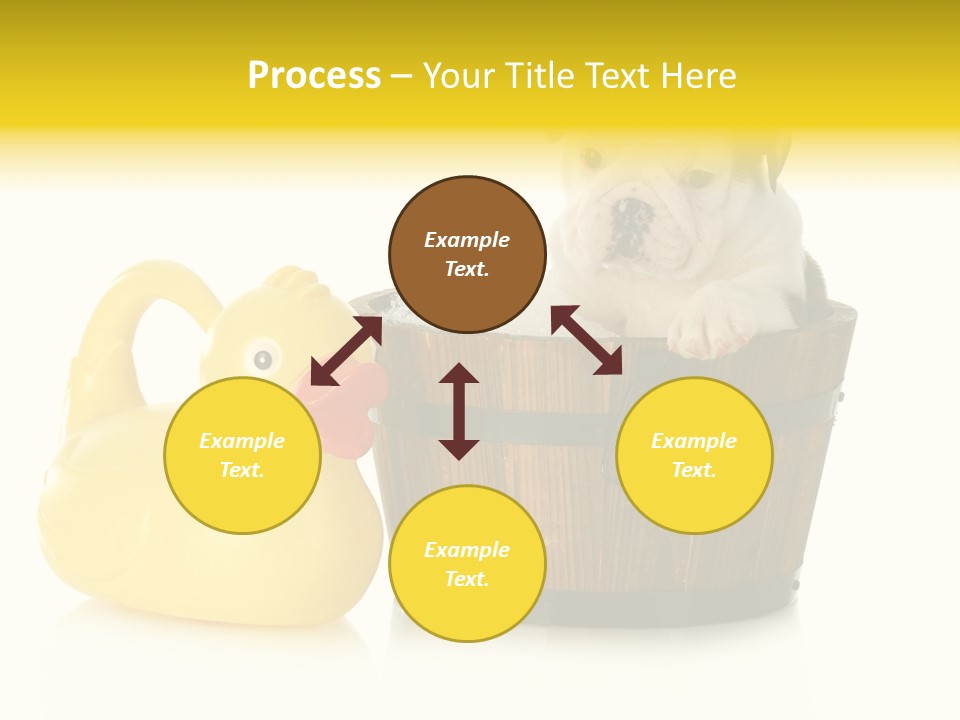 Small Washtub Pedigree PowerPoint Template