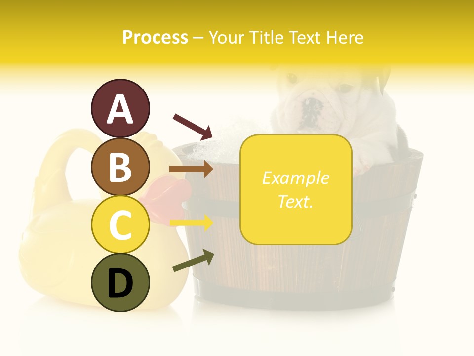 Small Washtub Pedigree PowerPoint Template