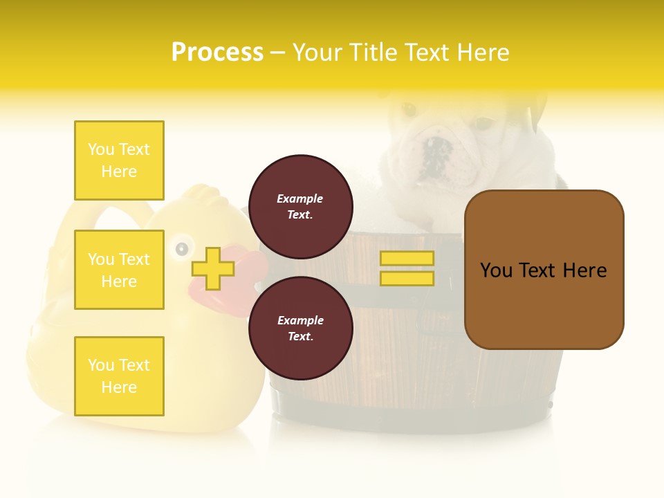 Small Washtub Pedigree PowerPoint Template