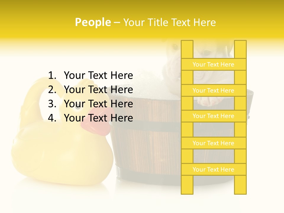 Small Washtub Pedigree PowerPoint Template