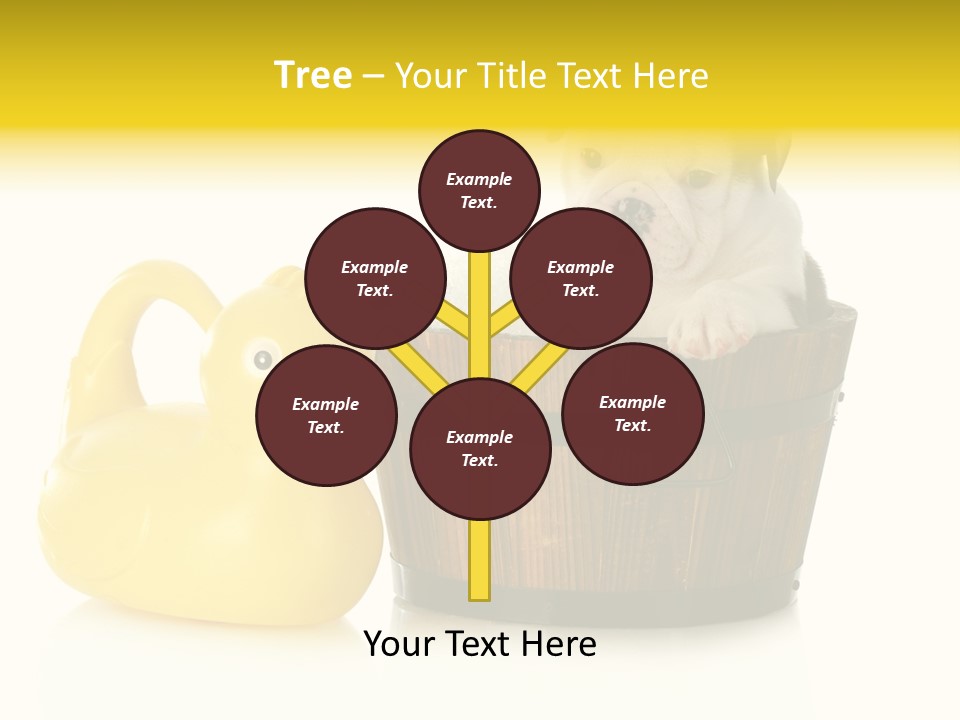 Small Washtub Pedigree PowerPoint Template