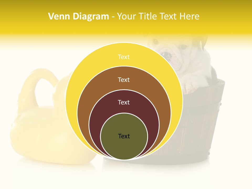 Small Washtub Pedigree PowerPoint Template